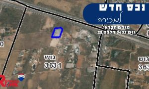 ערן - תמונה ראשית לאתר (15)